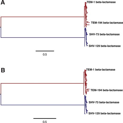 Image for An experimentally informed evolutionary model improves phylogenetic fit to divergent lactamase homologs