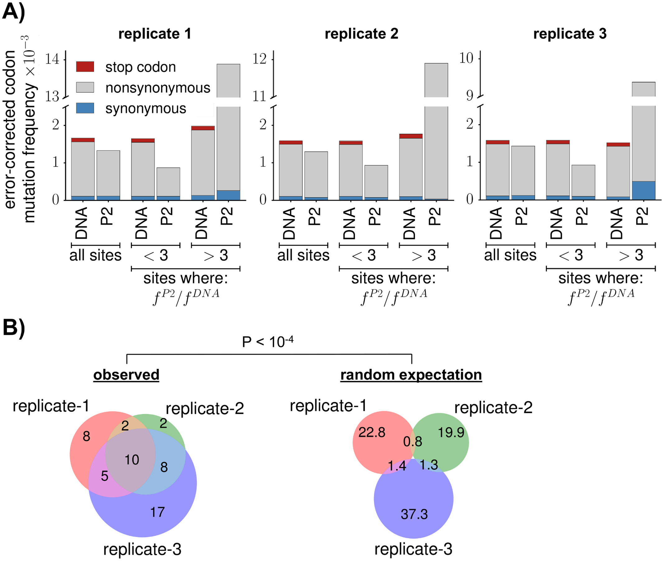 Image for Experimental estimation of the effects of all amino-acid mutations to HIV’s envelope protein on viral replication in cell culture