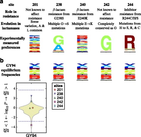 Image for Identification of positive selection in genes is greatly improved by using experimentally informed site-specific models