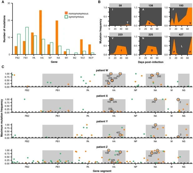 Image for Parallel evolution of influenza across multiple spatiotemporal scales