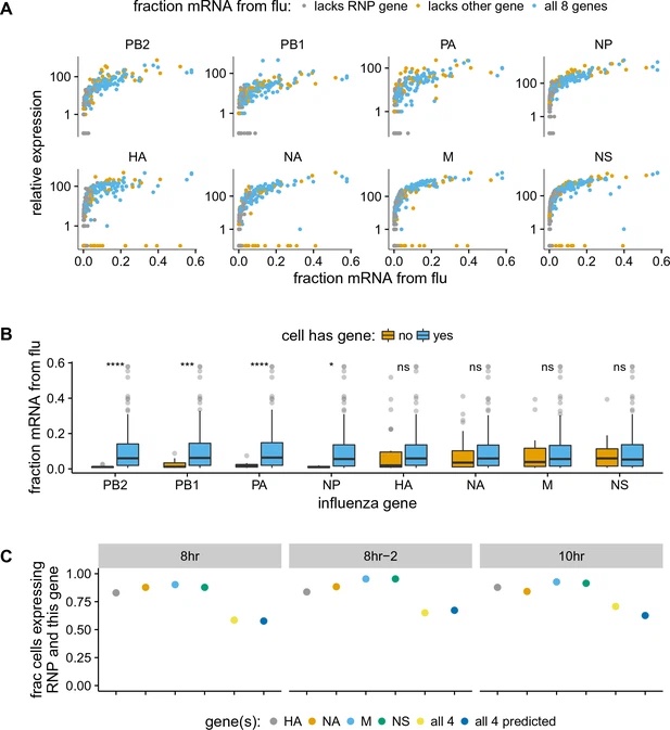 Image for Extreme heterogeneity of influenza virus infection in single cells