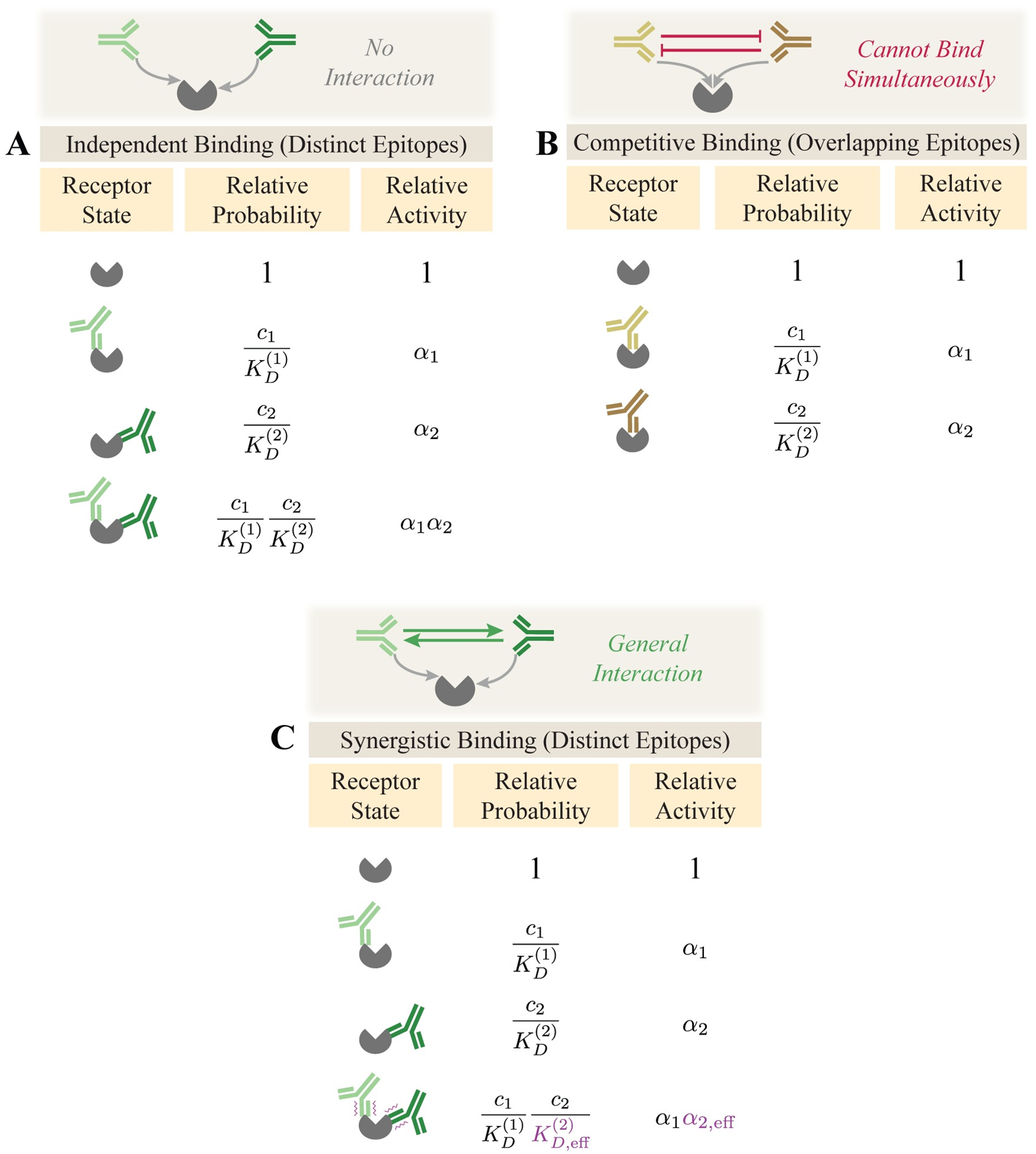 Image for When two are better than one: Modeling the mechanisms of antibody mixtures