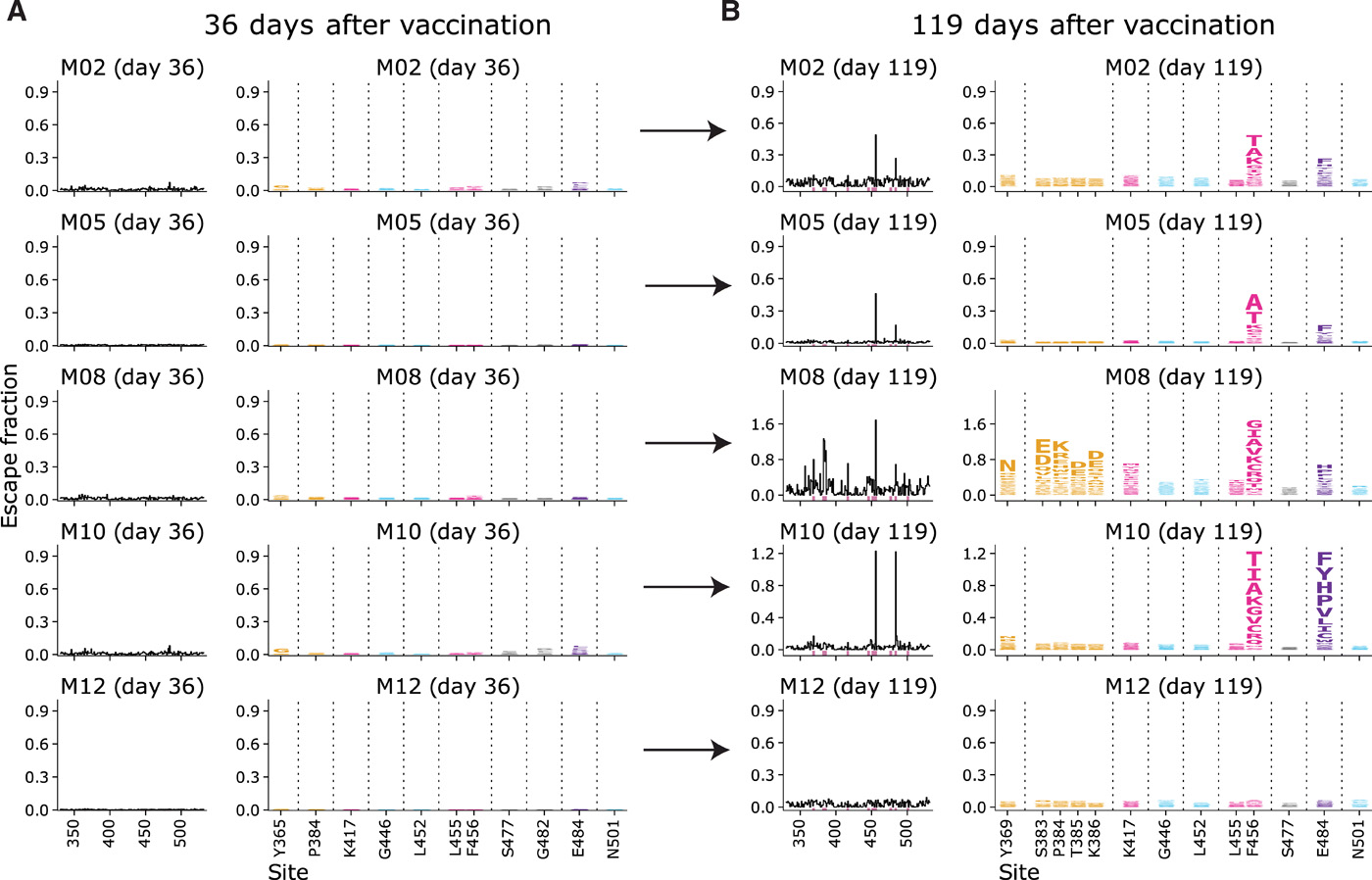 Image for Antibodies elicited by mRNA-1273 vaccination bind more broadly to the receptor binding domain than do those from SARS-CoV-2 infection