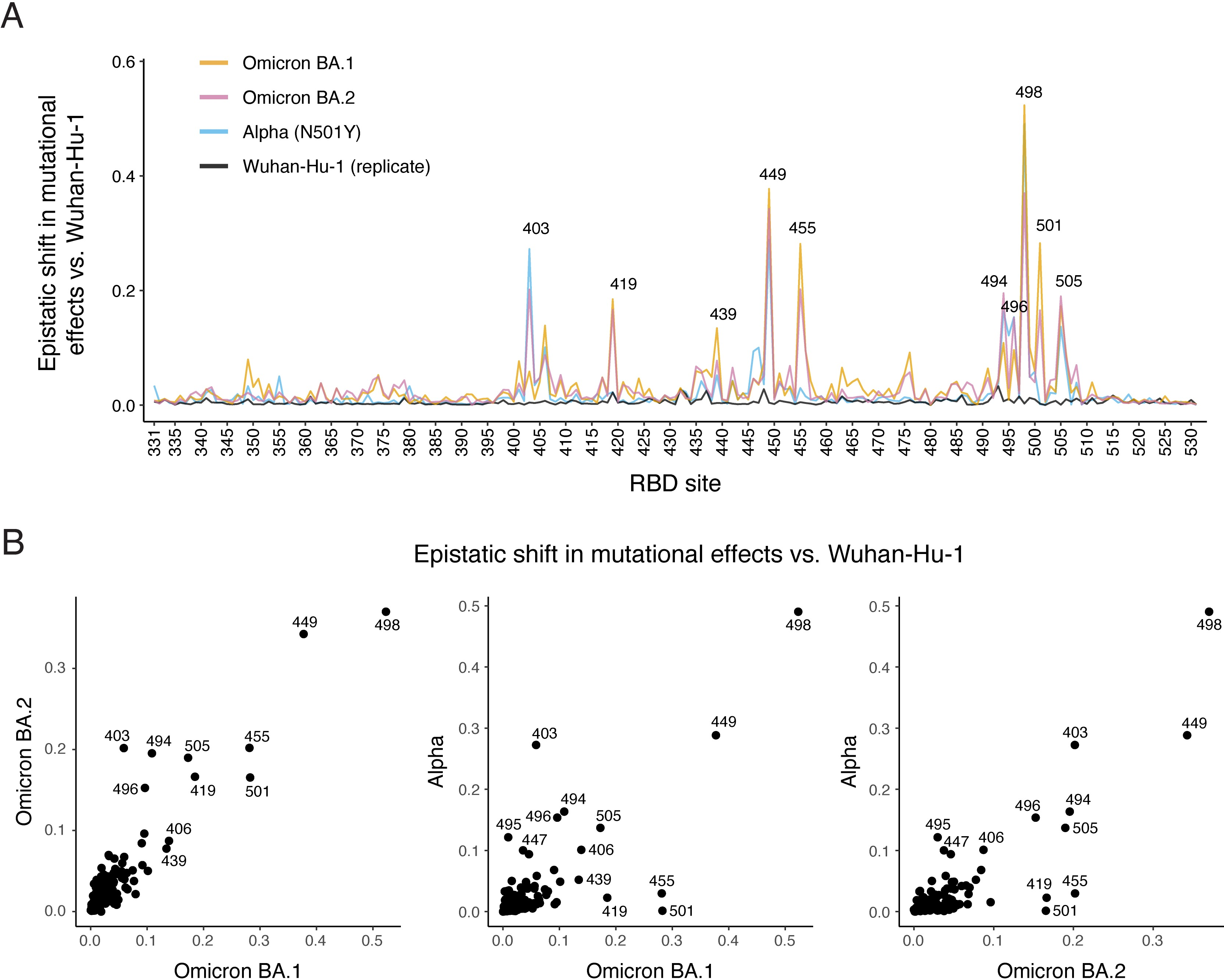 Image for Deep mutational scans for ACE2 binding, RBD expression, and antibody escape in the SARS-CoV-2 Omicron BA.1 and BA.2 receptor-binding domains