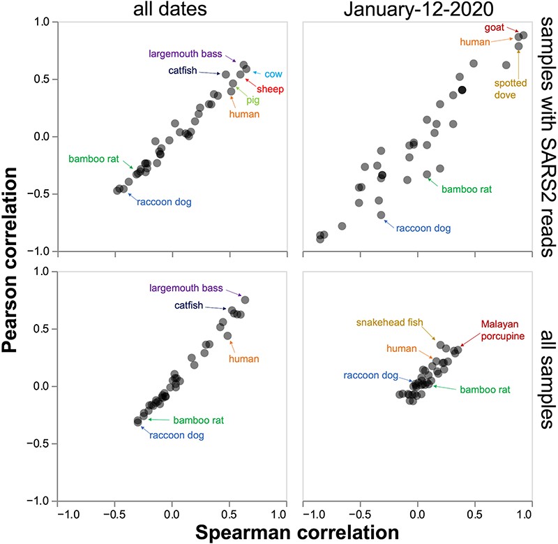 Image for Association between SARS-CoV-2 and metagenomic content of samples from the Huanan Seafood Market