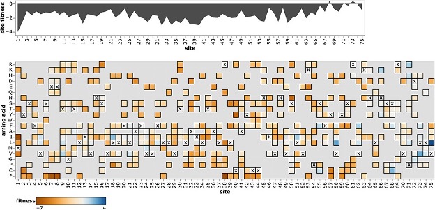 Image for Fitness effects of mutations to SARS-CoV-2 proteins