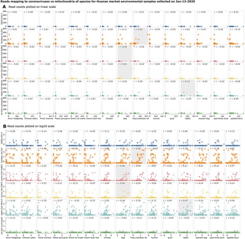 Image for Importance of quantifying the number of viral reads in metagenomic sequencing of environmental samples from the Huanan Seafood Market