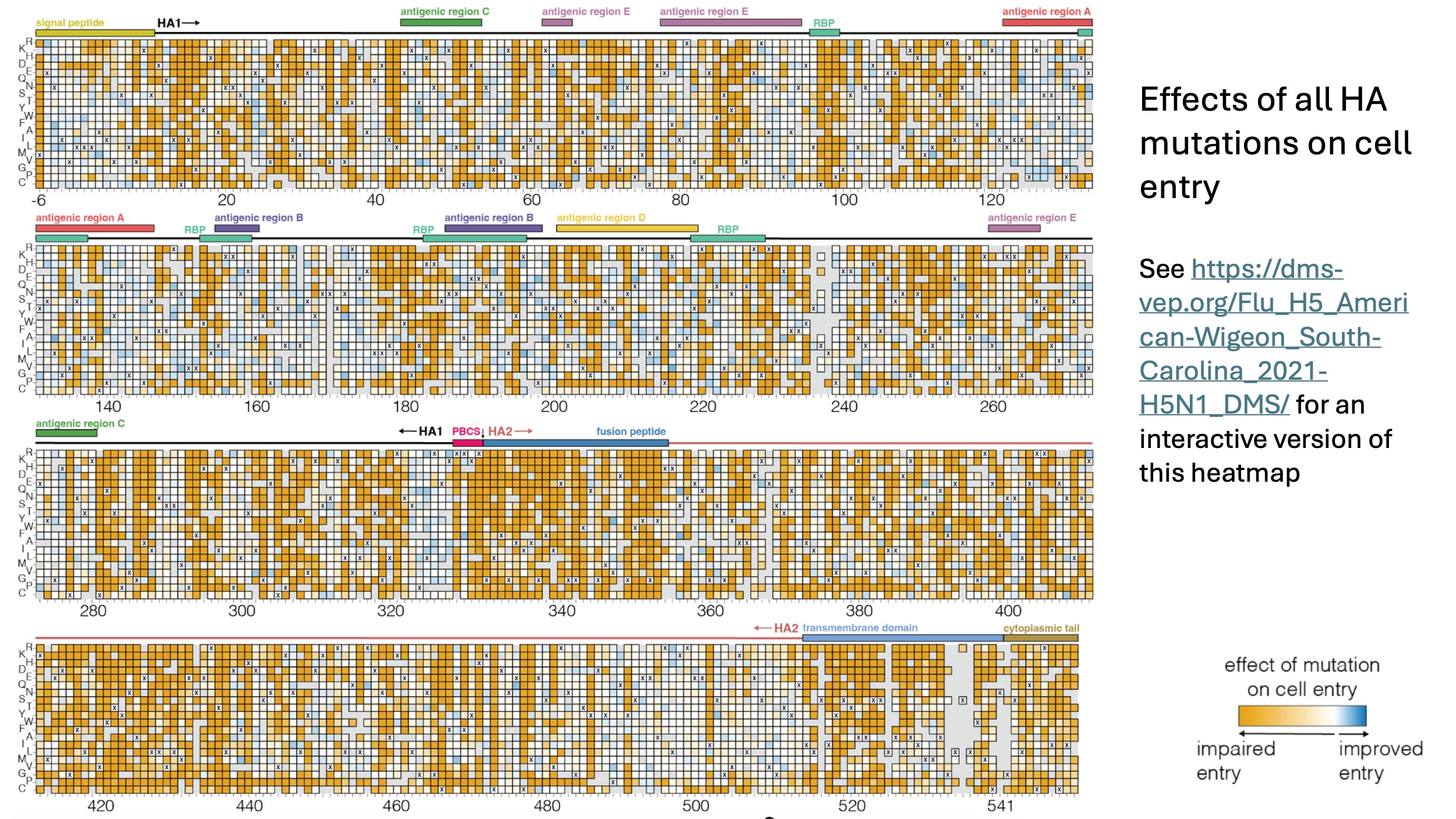 cell entry heatmap