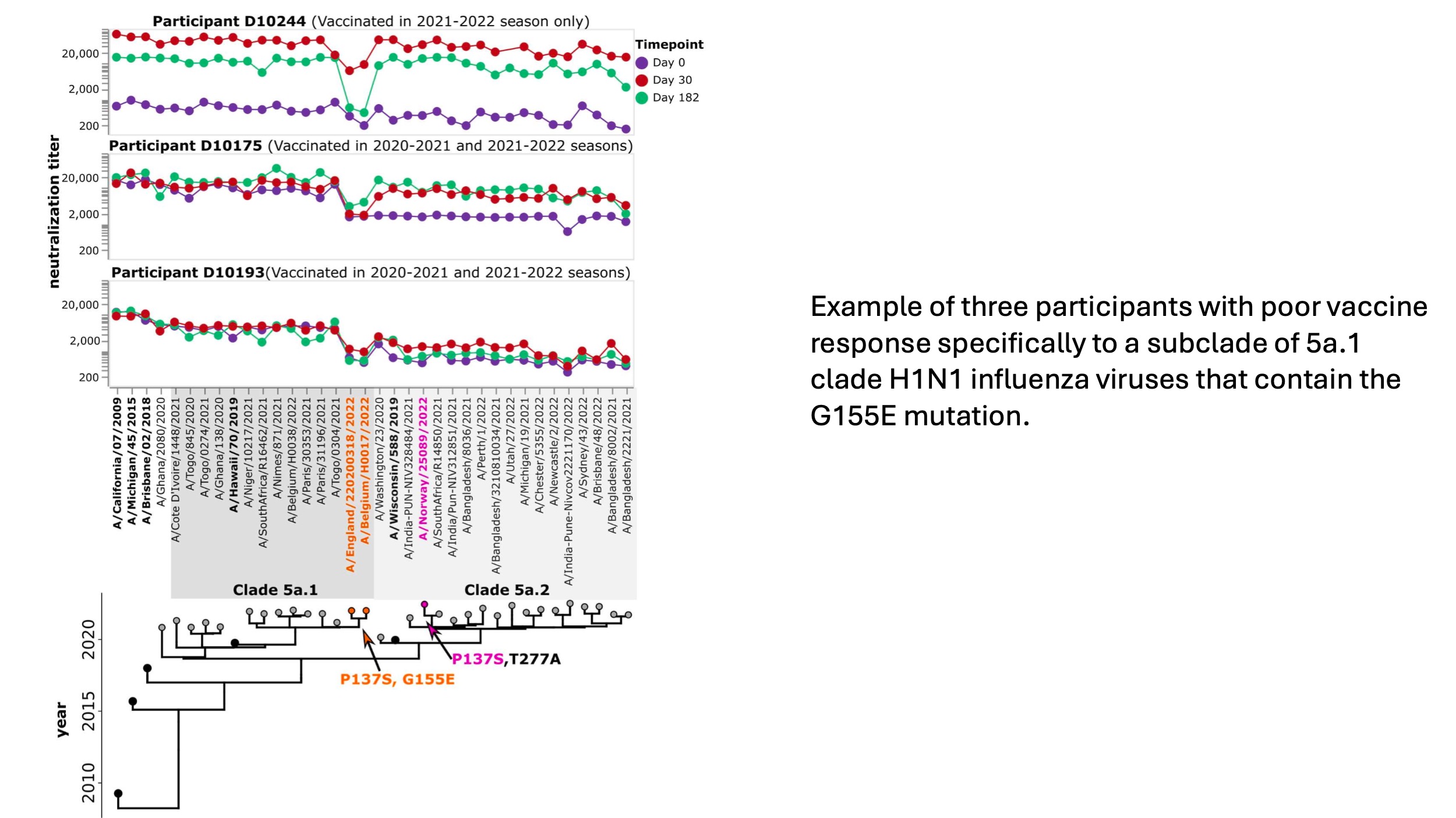 variation among viruses and individuals