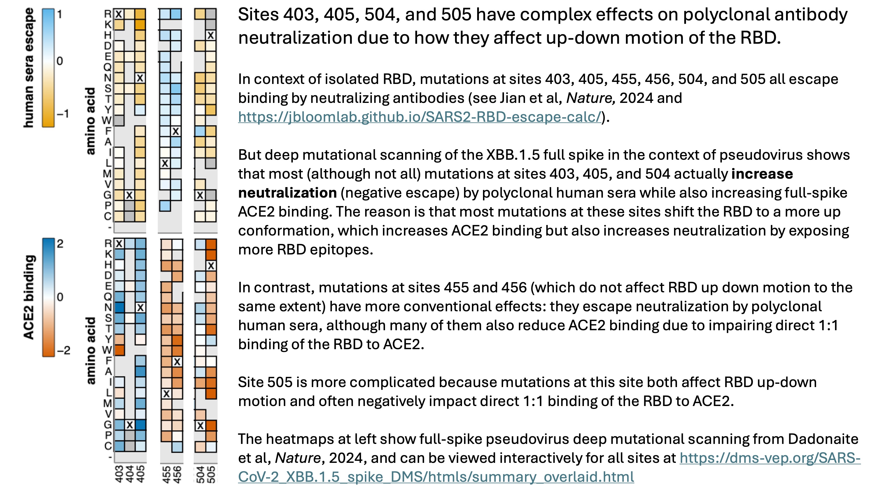 pseudovirus_DMS