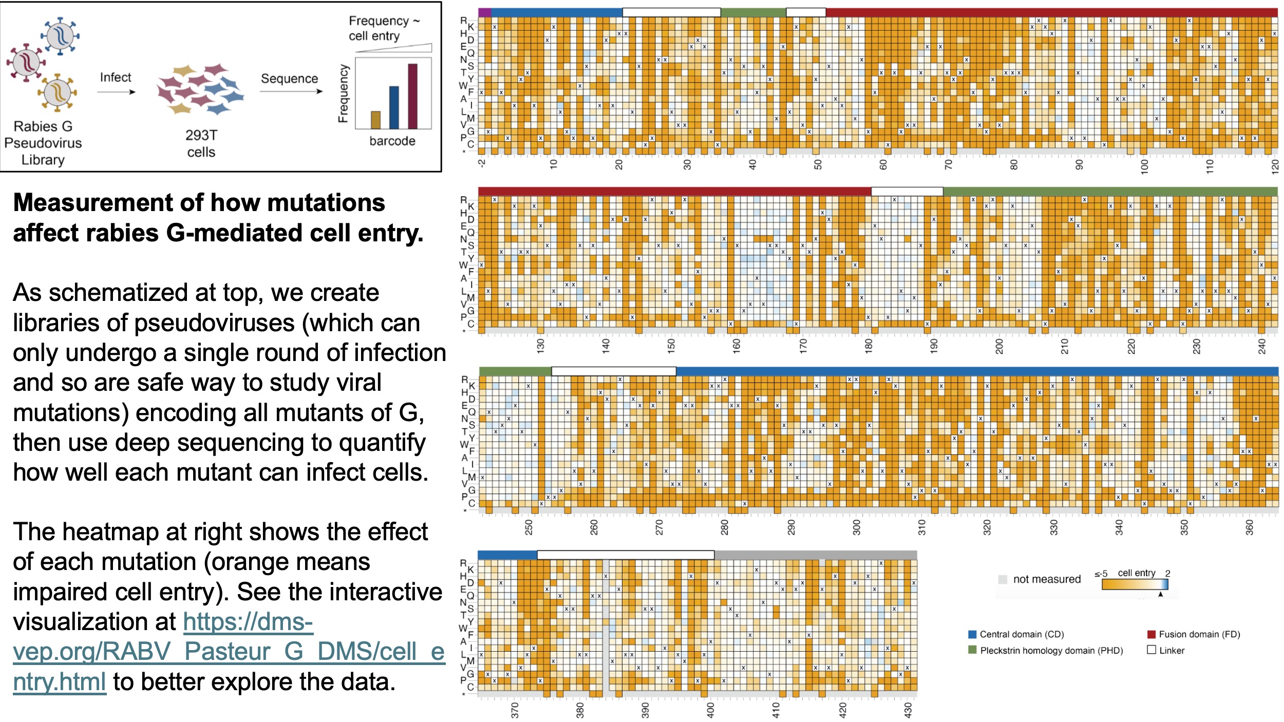 cell_entry