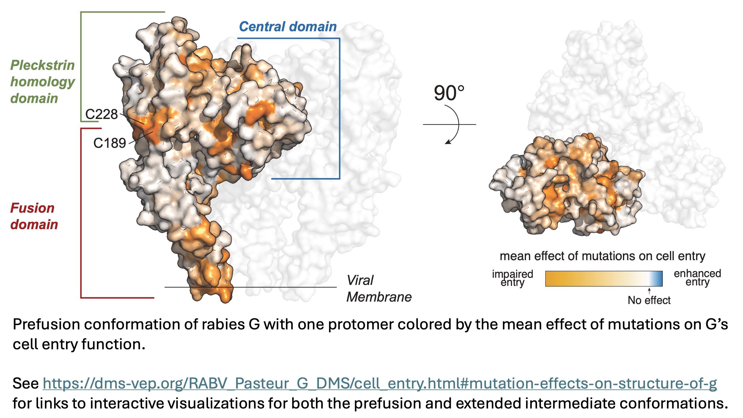 cell_entry_structure