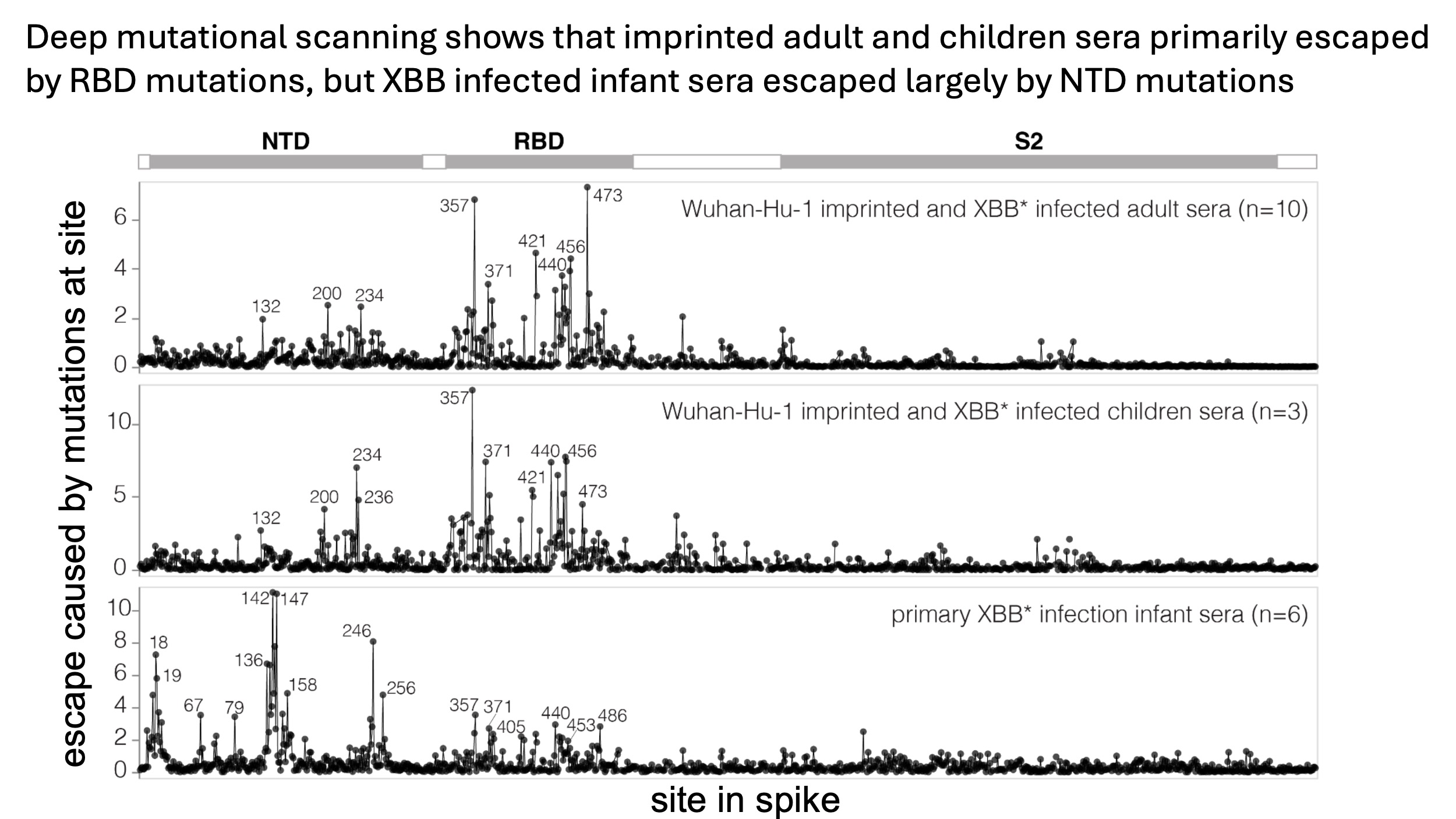 dms_adult_child_infant